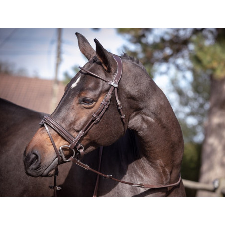 Bridon Friday capezzina combinata Jump'In week