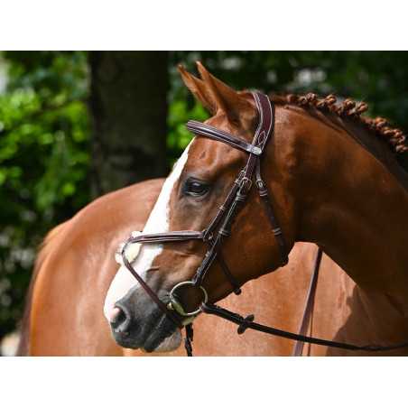 Bridon Jump'In Tuesday museruola incrociata week