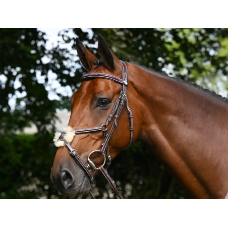 Bridon Thursday museruola incrociata Jump'In week