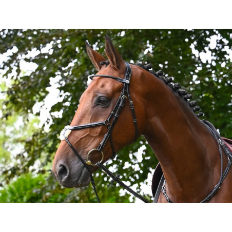 Filet Jump'In Monday museruola incrociata week