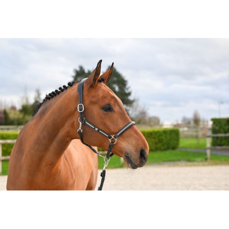 Capestro Clincher Jump'In One Premium