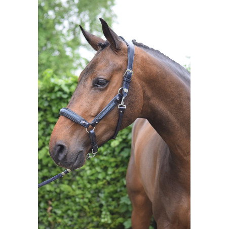 Capestro Crystal Jump'In week