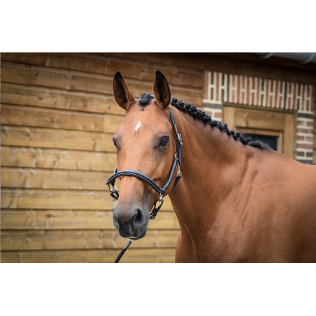 Capestro da grooming Jump'In One