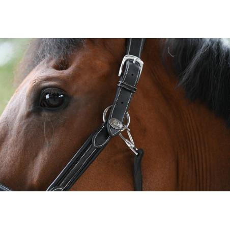 Capestro Wednesday Jump'In week