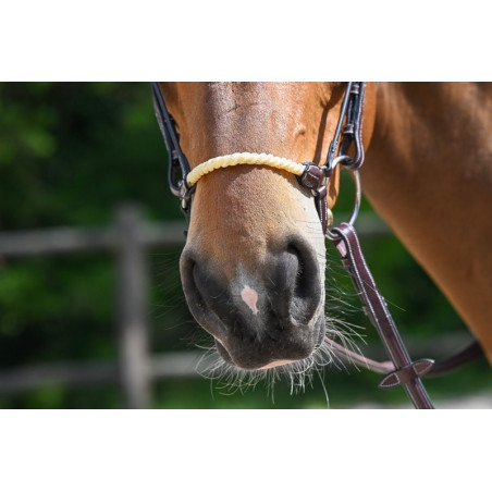 Capezzina tedesca corda Jump'In Week