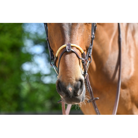 Museruola combinata corda Jump'In