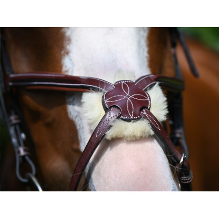 Museruola Tuesday Jump'In