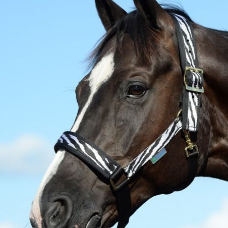 Capezza Bucas comfort Zebra