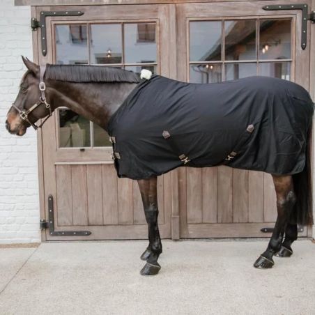 Camicia Cotone Kentucky