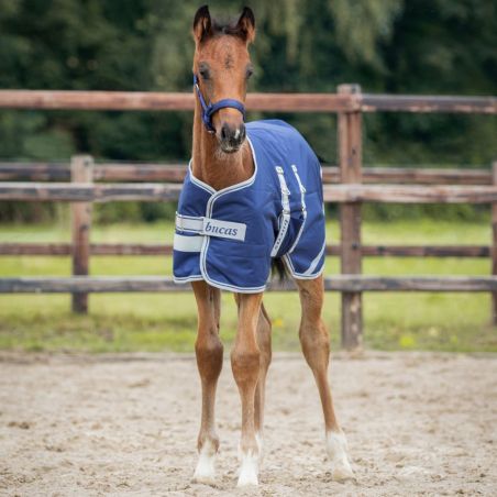 Coperta puledro Bucas Turnout 50g