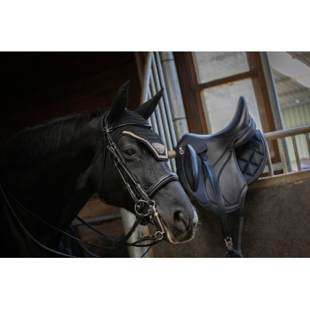 Briglia da dressage lucida Jump'In week