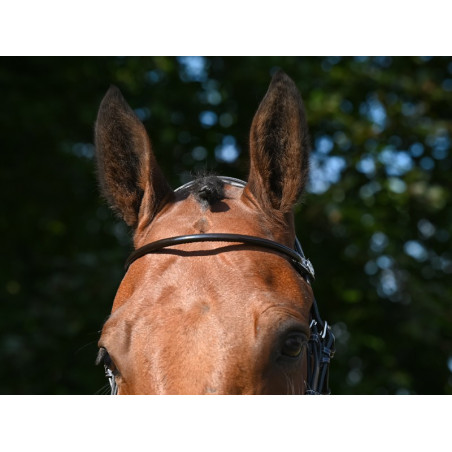Frontal Jump'In verniciato tondo