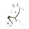 Briglia con capezzina messicana Equestro - Nero