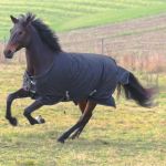 Coperta RugBe IceProtect 200 Covalliero