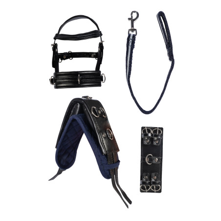 Set da lavoro a distanza Cuddle Pony HKM