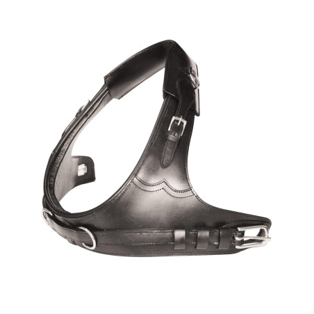 Collare per Calèche Umbria Equitazione