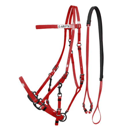 Briglia Capestro in Biothane Lakota