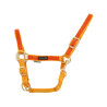 Capestro in Nylon con Parti Colorate Umbria Equitazione - Oro / arancione