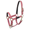 Capestro in Nylon con Rinforzo in Pelle Umbria Equitazione - Rosa