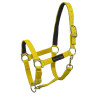 Capestro in Nylon con Rinforzo in Pelle Umbria Equitazione - Giallo