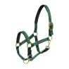 Capestro in nylon con rinforzo in neoprene Umbria Equitazione - Verde