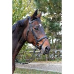 Briglia Classic nera in cuoio