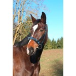 Cavezzone esclusivo nero in cuoio