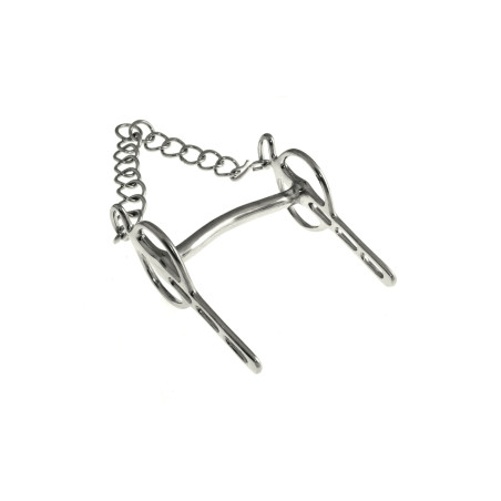 Morsi Liverpool a Branche Fisse Umbria Equitazione