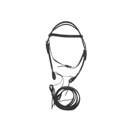 Briglia Western in Cuoio Doppio con Redini Lakota