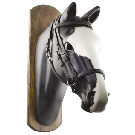 Briglia Biothane Horse Ball con Redini Umbria Equitazione