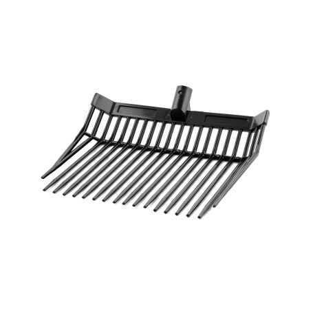 Testa della Forcella Futur Fork Umbria Equitazione