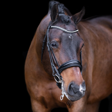 Sella Imperiale Riding Athena