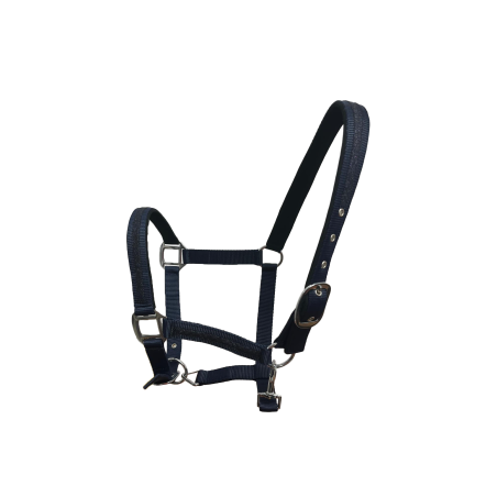 Set di cavezza e lunghina Flags & Cup Atamik