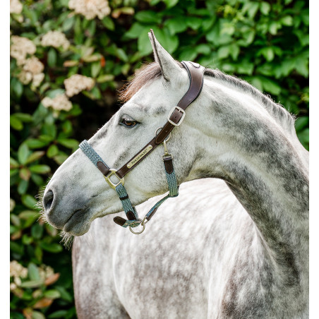 Capestro Horseware intrecciato Signature