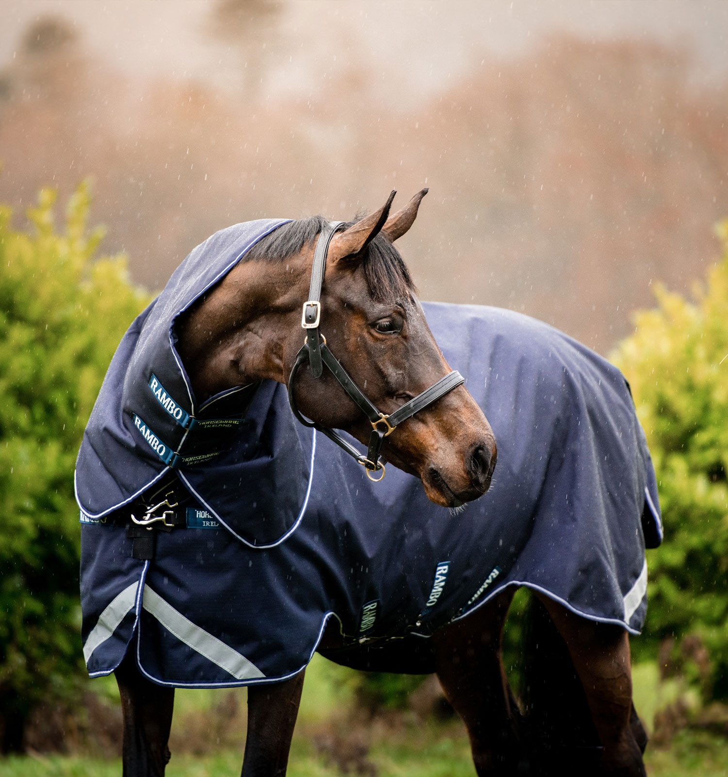 Coperta Horseware Rambo Duo Force 100g con liner da 100g e 300g Blu marino / blu marino / bianco Coperta Horseware Rambo Duo Force 100g con liner da 100g e 300g Blu marino / blu marino / bianco