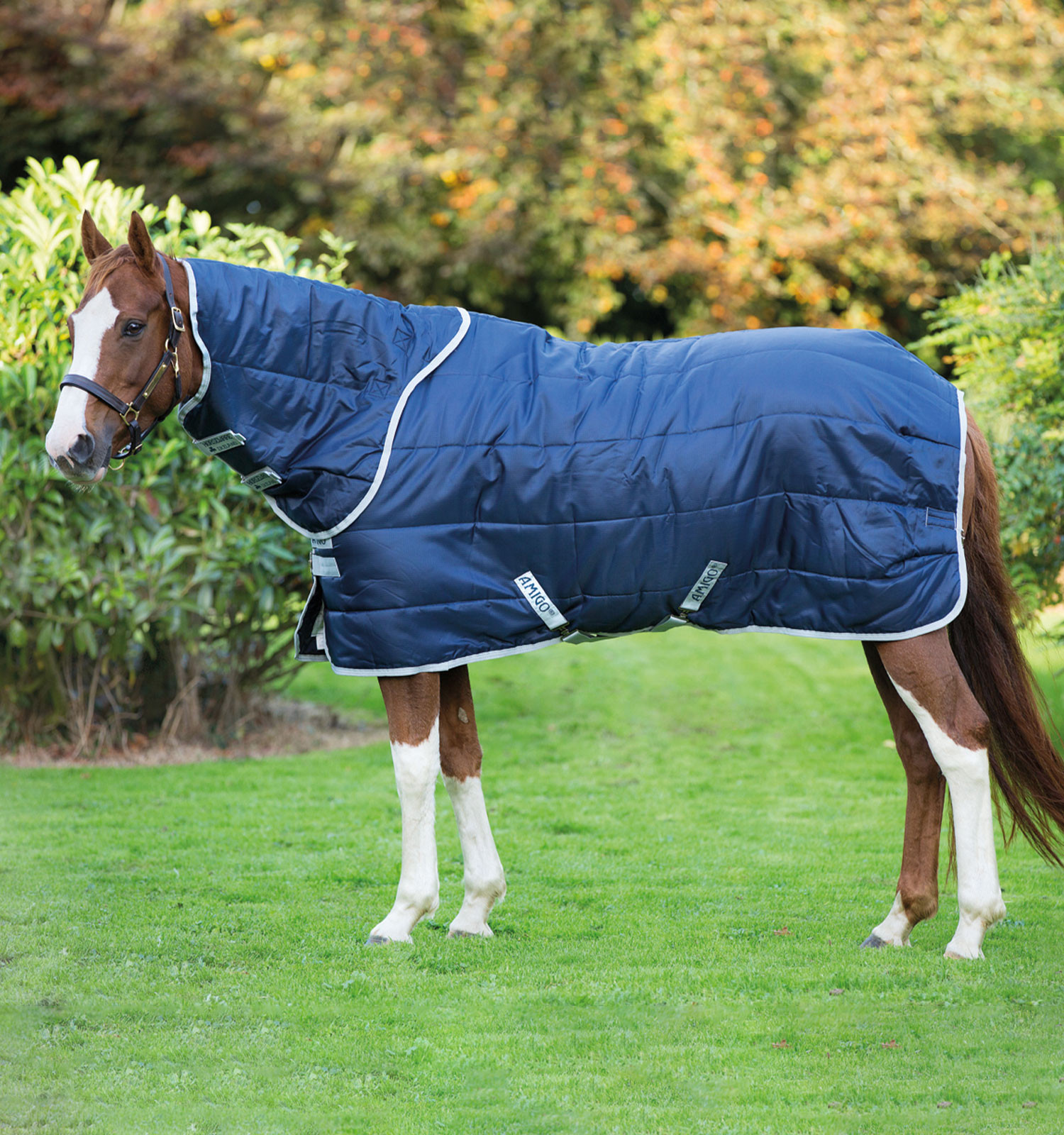 Coperta Horseware Amigo Insulator Plus 200g con copricollo Marino / argento Blu Coperta Horseware Amigo Insulator Plus 200g con copricollo Marino / argento Blu