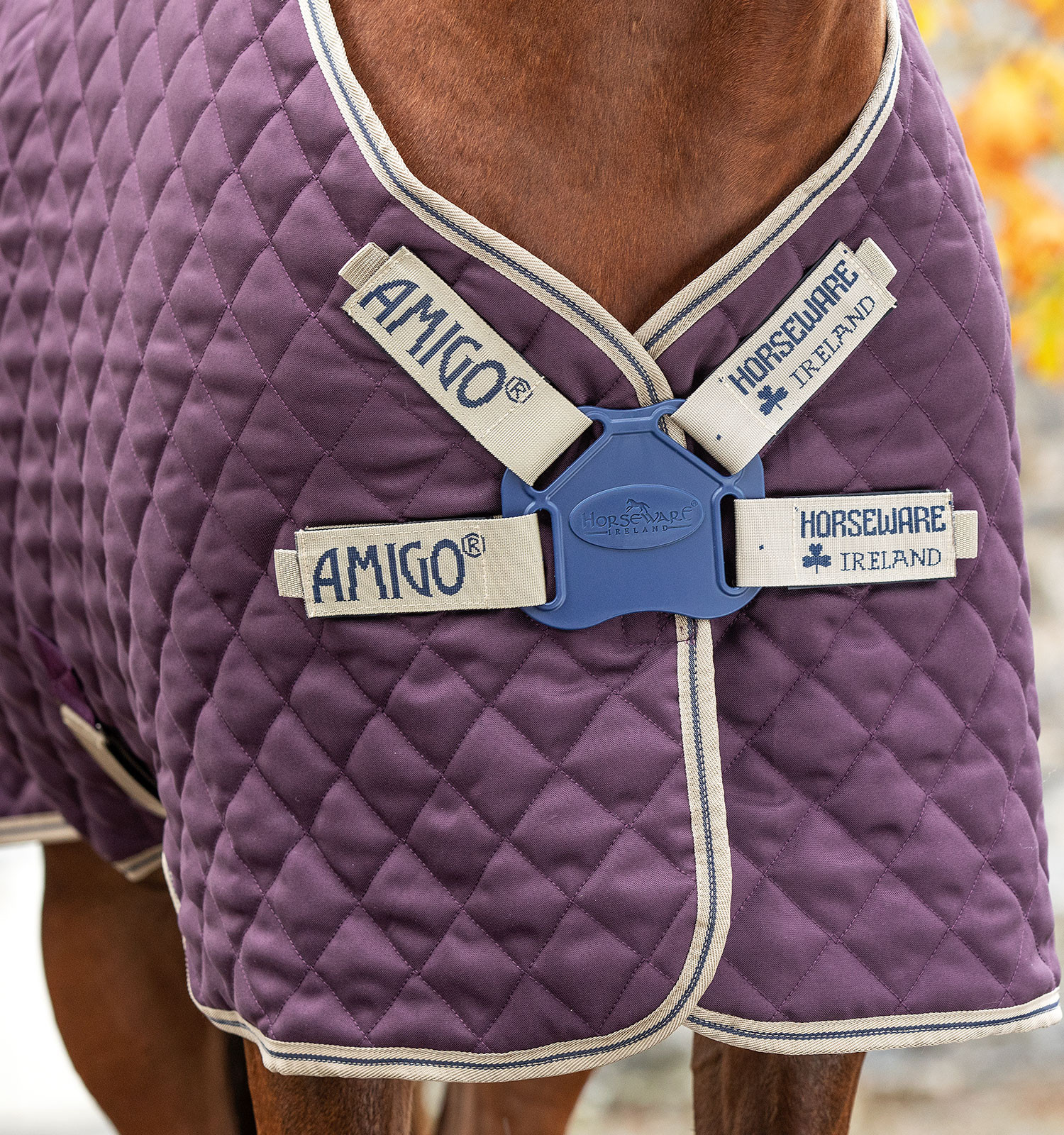 Coperta da box Horseware Amigo Plus Disco 200g Fico / blu navy Viola