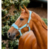 Capestro da toelettatura Signature Horseware - Bruma blu