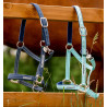Cavezzone Speciale da Pascolo Horseware® Fieldsafe - Foschia blu