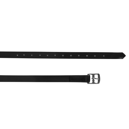 Staffili in biothane Derby