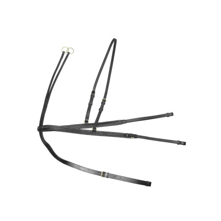 Martingala e pettorale Denver