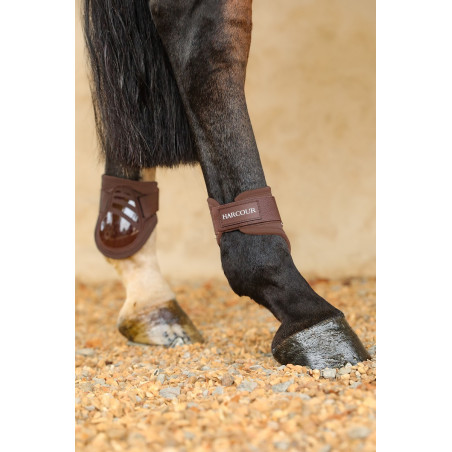 Paraglomi Harcour Maddi