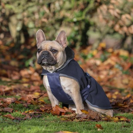 Coperta per cane Show-Line Bucas