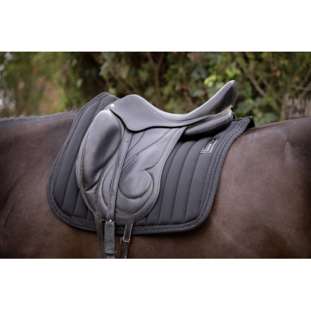Tappeti verticali dressage Paddock Sport