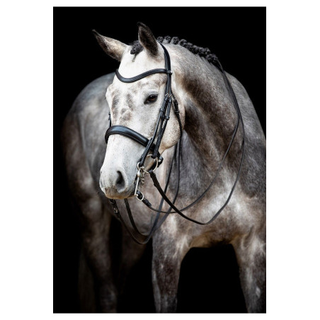 Briglia Montar Normandie in cuoio conciato