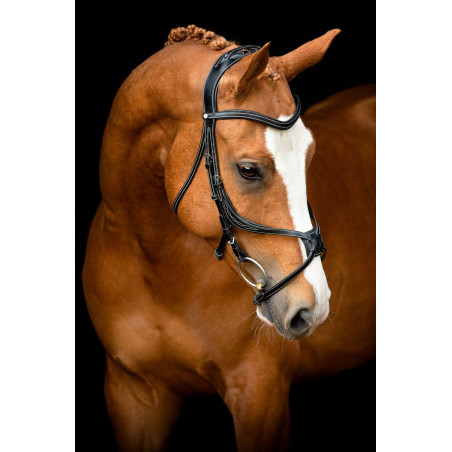 Briglia Montar Lyon 8-Fig in cuoio conciato