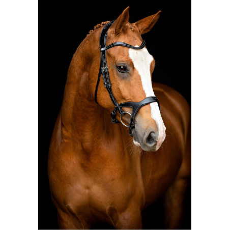 Briglia Montar Monarch in cuoio conciato organicamente