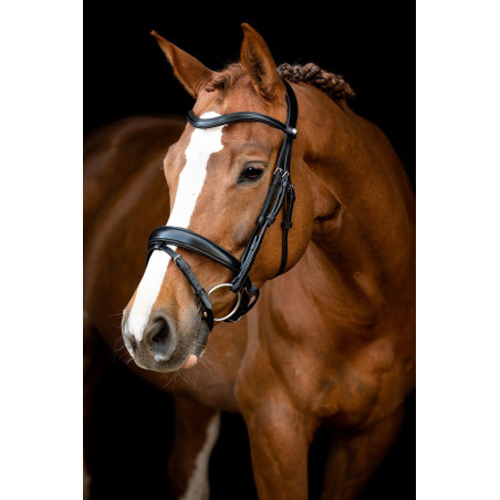 Briglia Montar Normandie in cuoio conciato