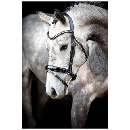 Briglia Montar Normandie Deluxe in cuoio conciato