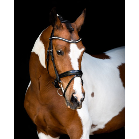 Briglia Montar testiera Anatomica Fair